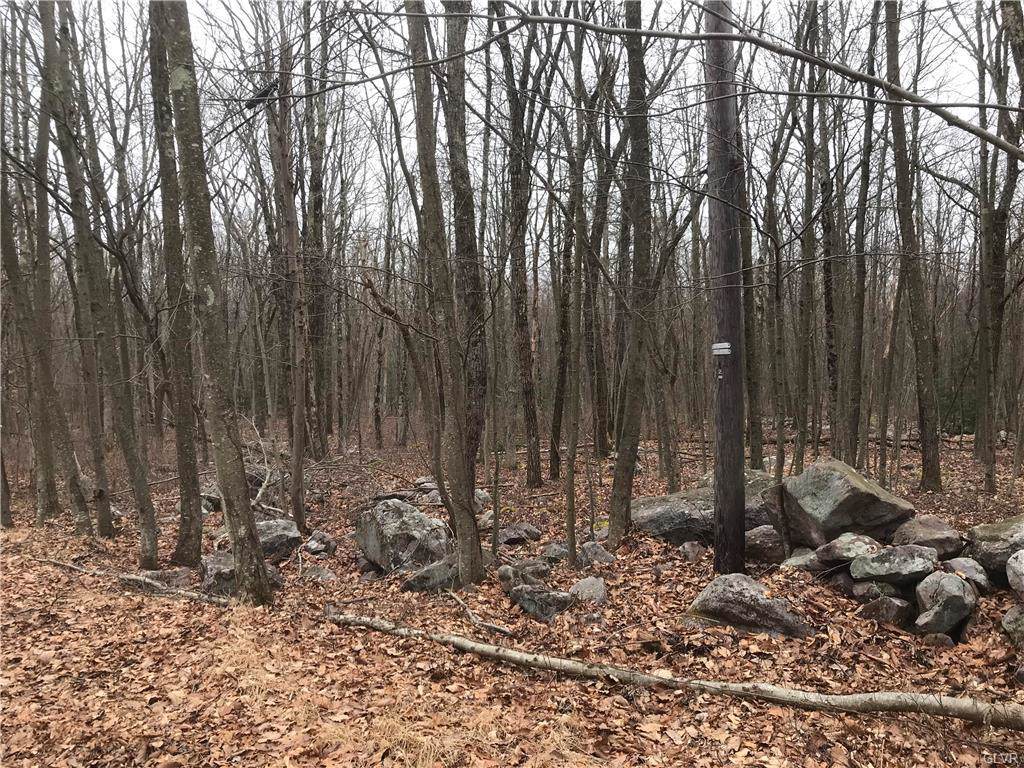 Lot#A325 Cypress Drive - Photo 1
