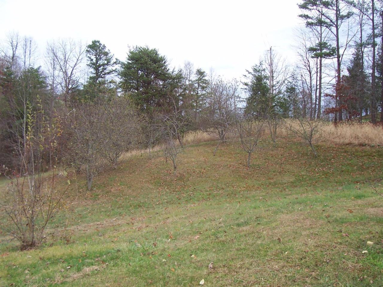 1 Cox Road - Photo 1