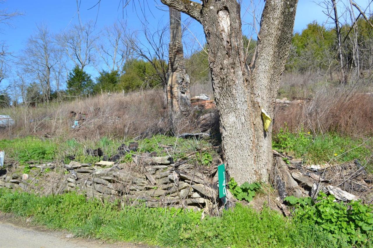 140 Fallis Run Road - Photo 1