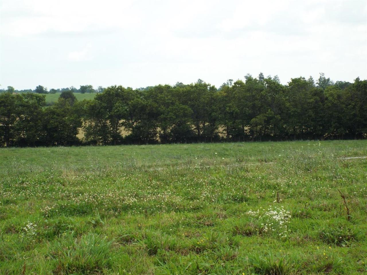 1780 Bellows Mill Road - Photo 1