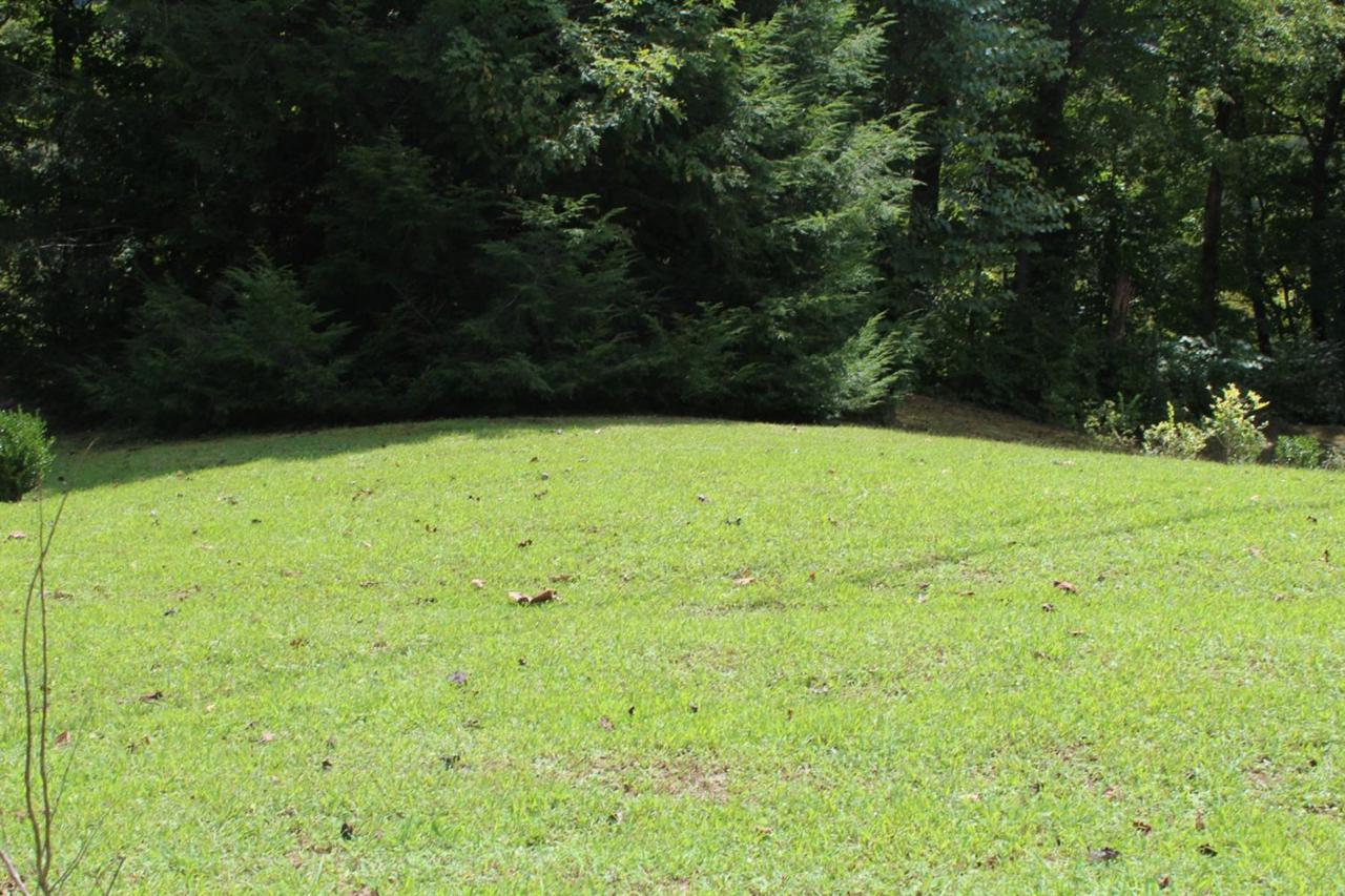 259 Lay Hill - Photo 1