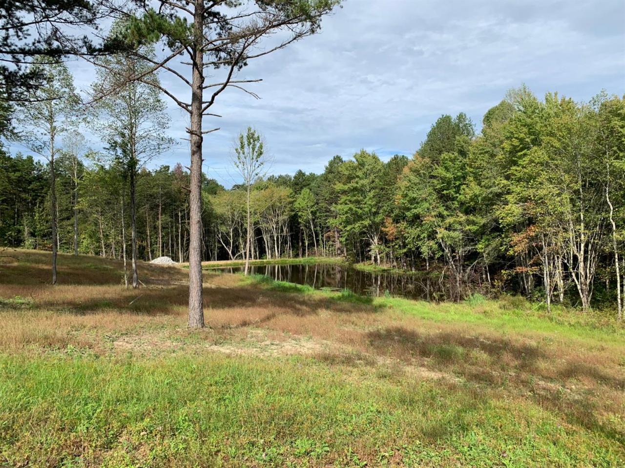 1111 Mckeehan Crossing Road - Photo 1