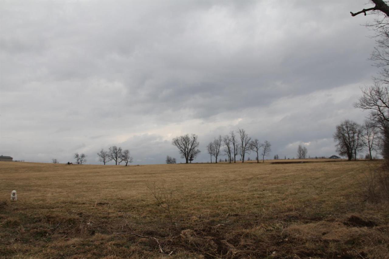 1152 Mccauley Road - Photo 1