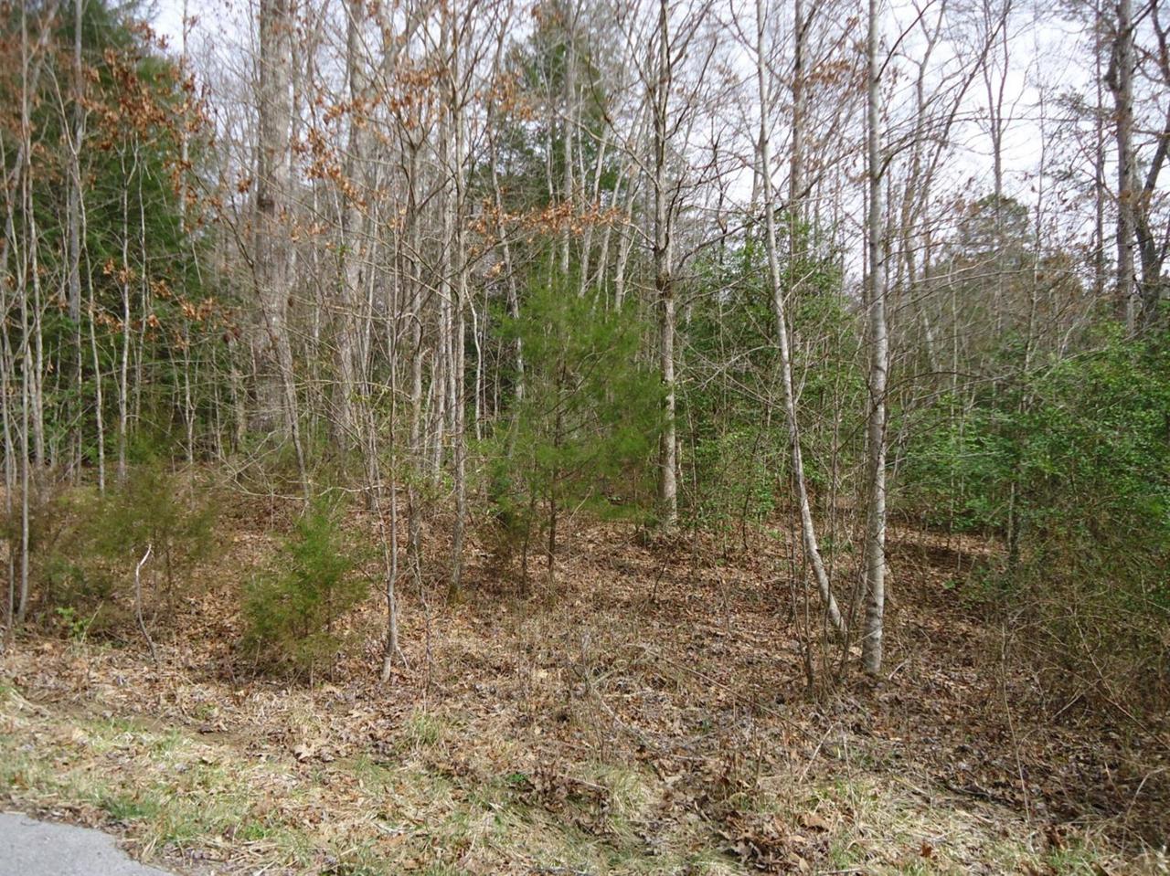 6 Winwood Trail - Photo 1