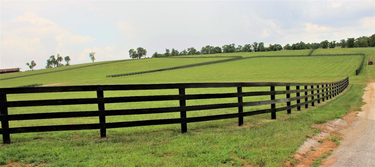 1221 Stamping Ground Road - Photo 1
