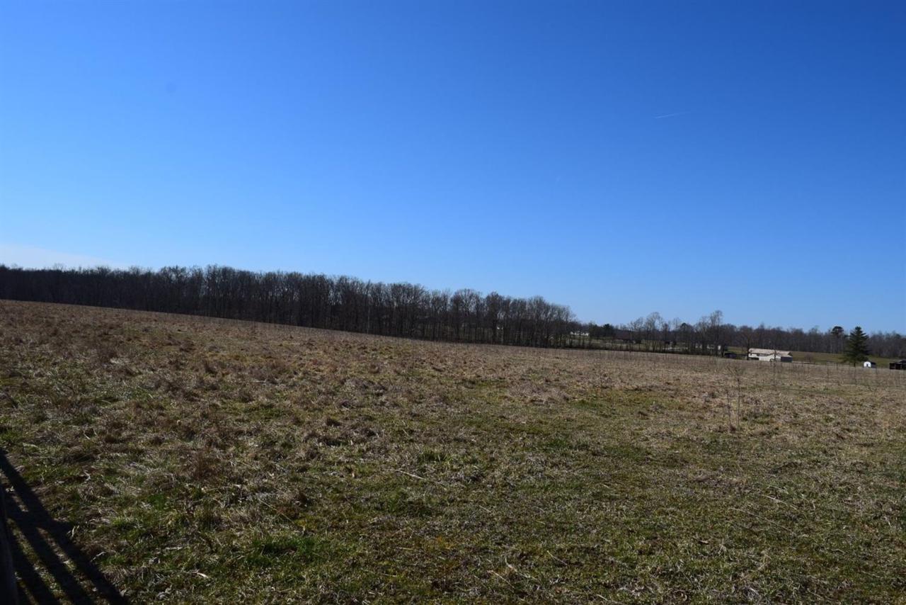 1175 Rice Road - Photo 1