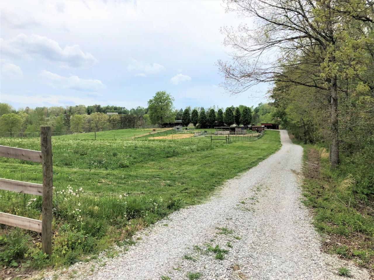 479 Mill Creek Road - Photo 1