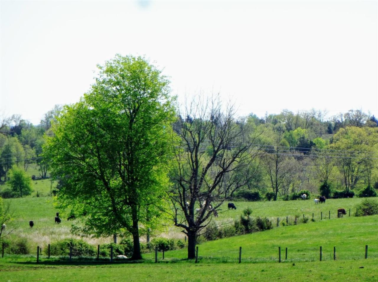 9999 Hwy 1054/ Robinson Ln - Photo 1