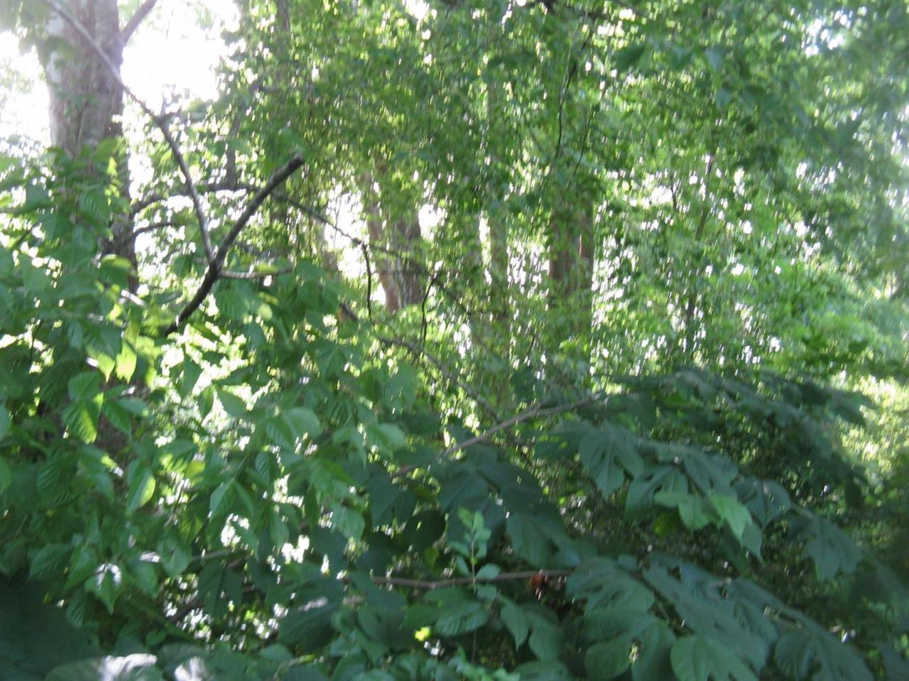 1 Flat Creek Rd - Photo 1
