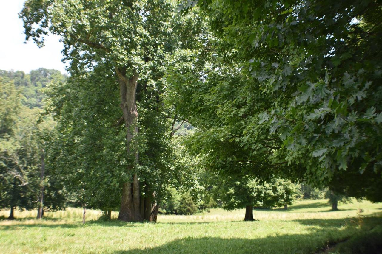 2 Short Road - Photo 1