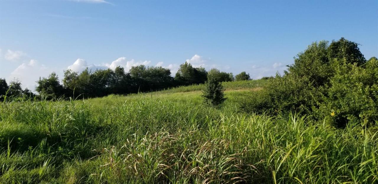 1395 Two Mile Road - Photo 1