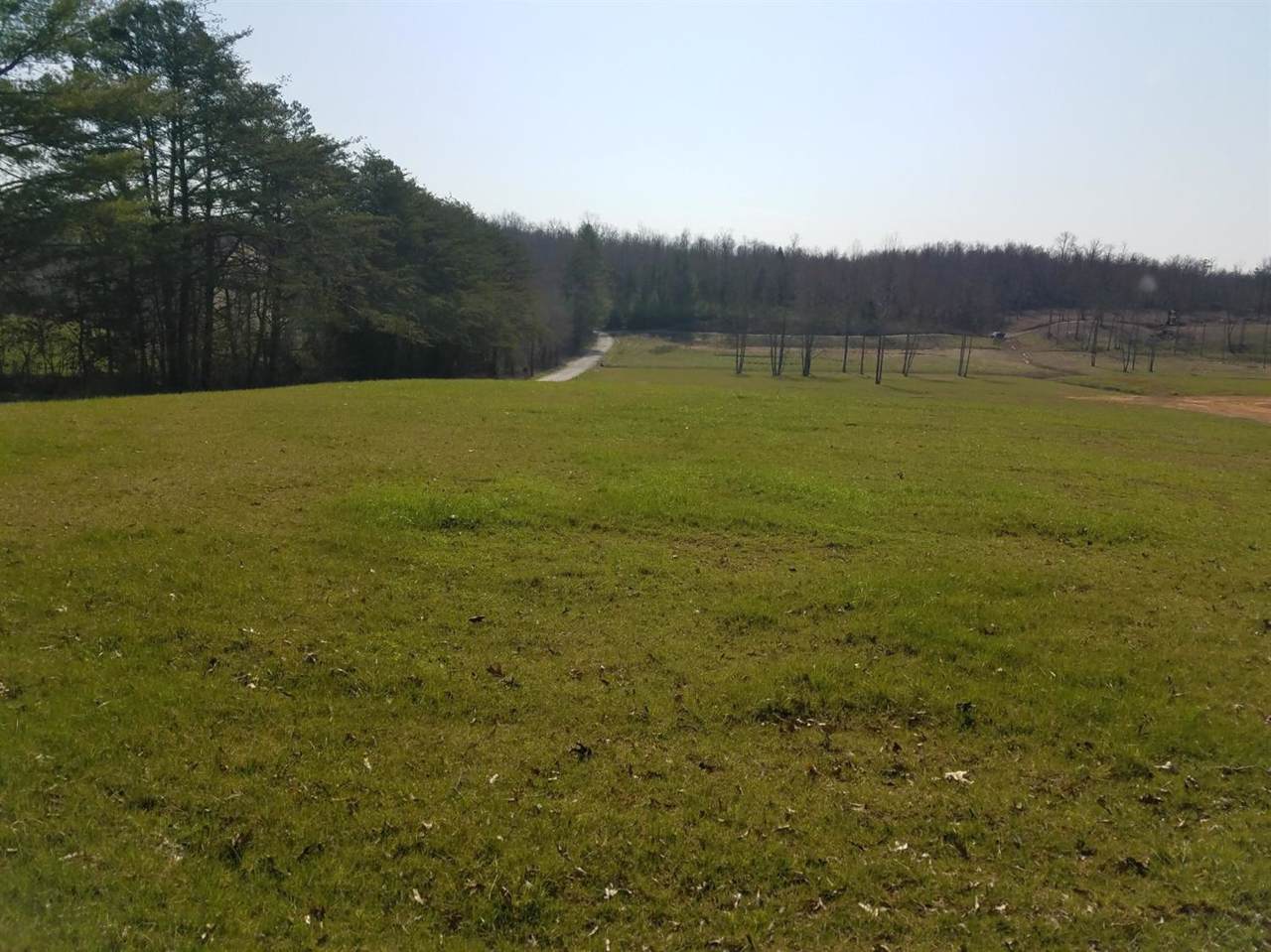 1 Muzzle Loader Club Road - Photo 1