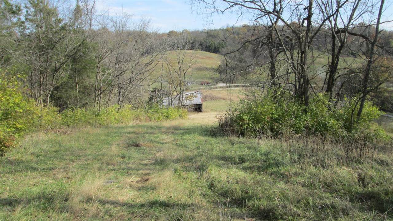398 Sycamore Road - Photo 1