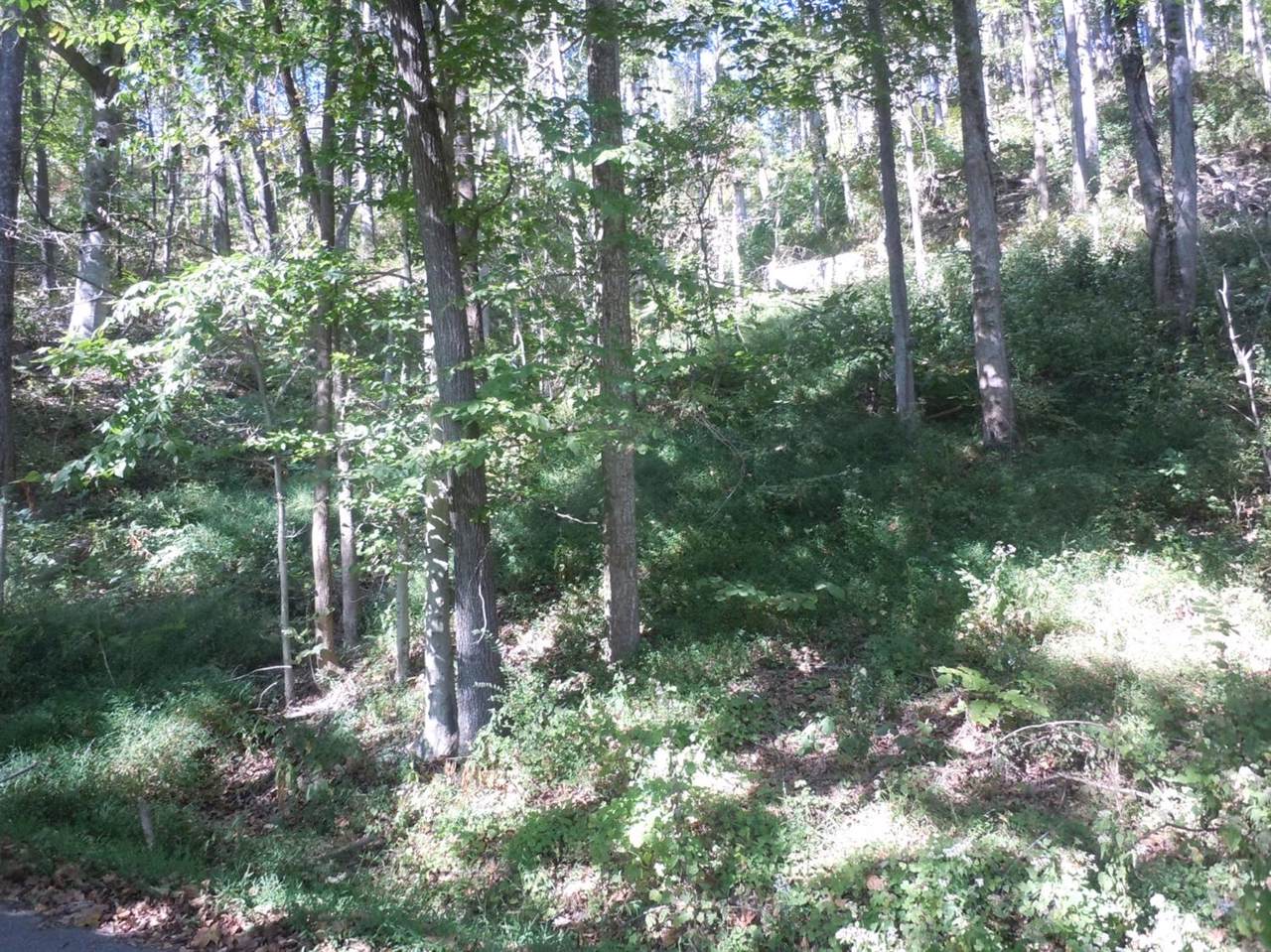 3099 522 Highway - Photo 1