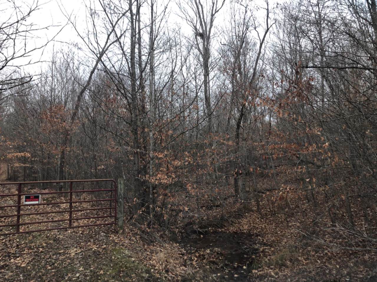 111 Wescott Road - Photo 1