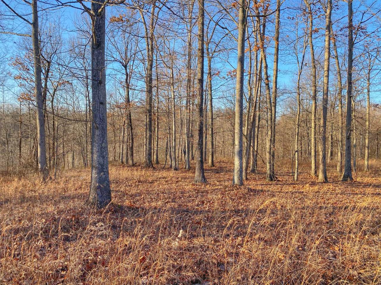 1 Lower Cane Creek Road - Photo 1