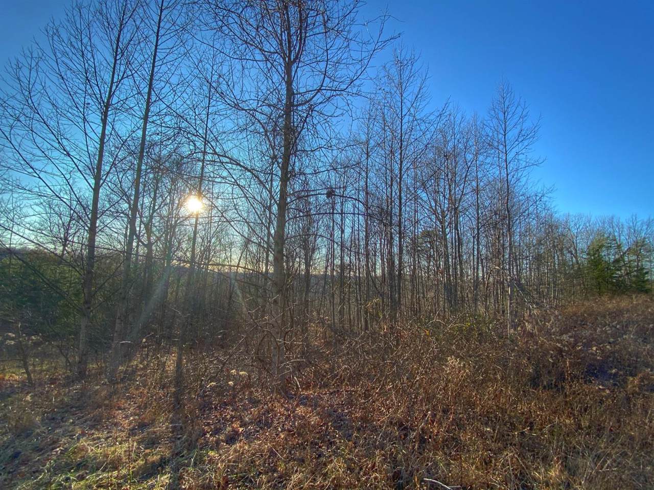 3 Lower Cane Creek - Photo 1