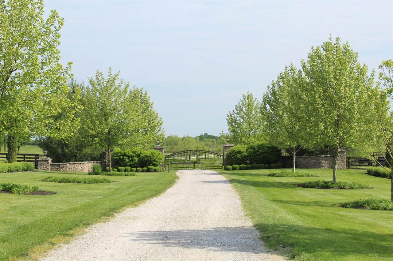 6146 Paris Road - Photo 1