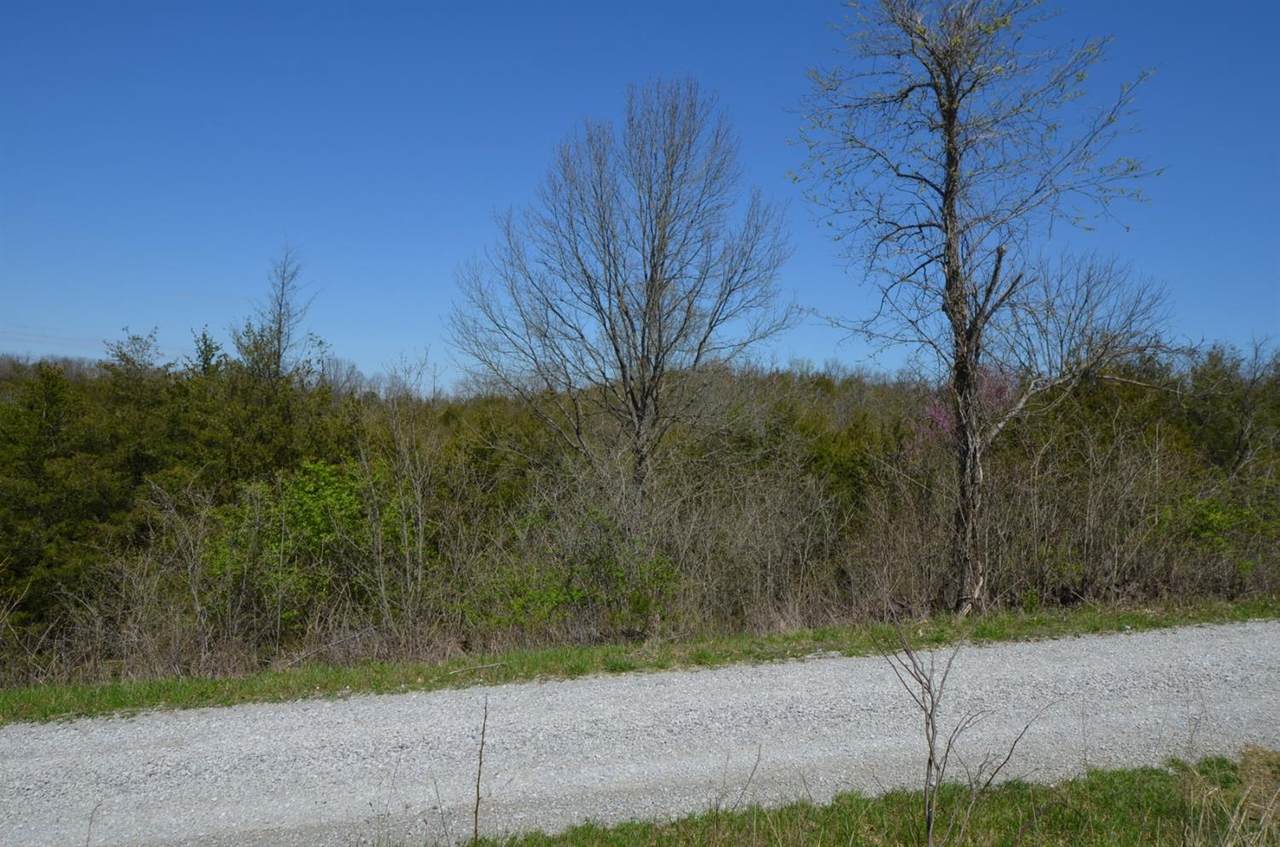 921 Three Lick Creek Road - Photo 1