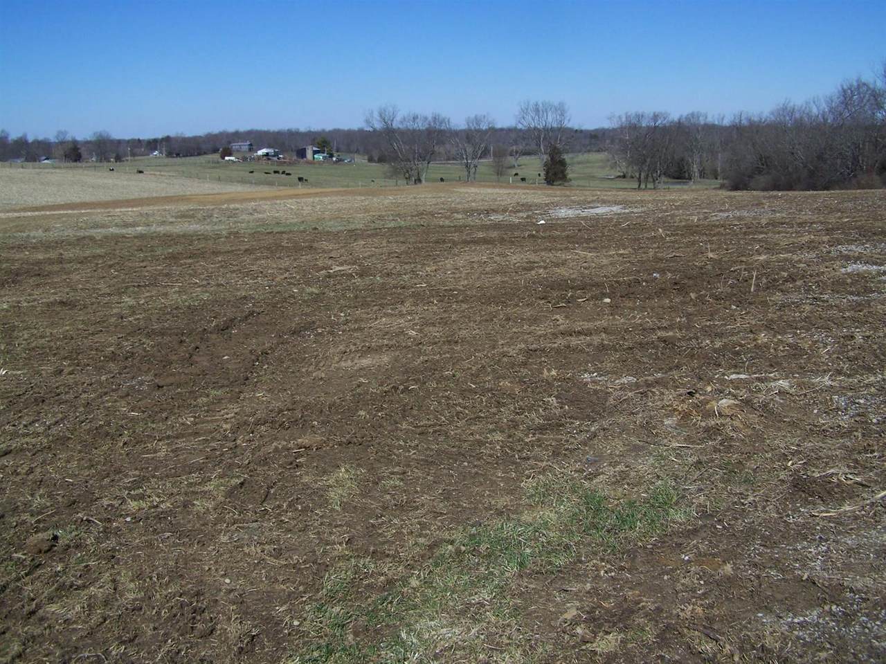 255 Wheat School Road - Photo 1 255 Wheat School Road - Photo 1