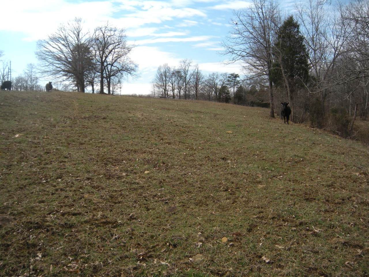 111111 Old Sand Road - Photo 1 111111 Old Sand Road - Photo 1