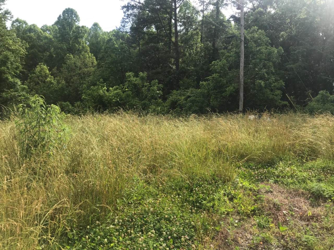 1161 Old Shiner School Road - Photo 1