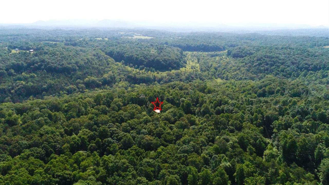 99999 Noland Creek - Photo 1