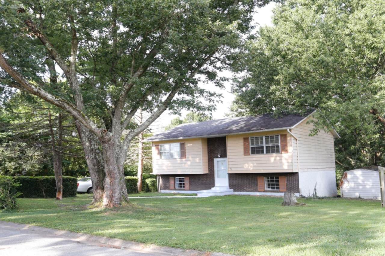 85 Courtland Avenue - Photo 1