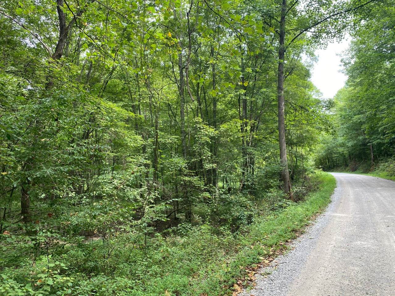 3333 Steele Hollow Road - Photo 1