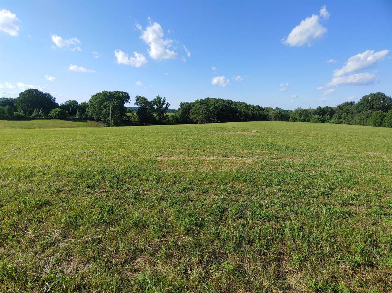 988 County Farm Road - Photo 1