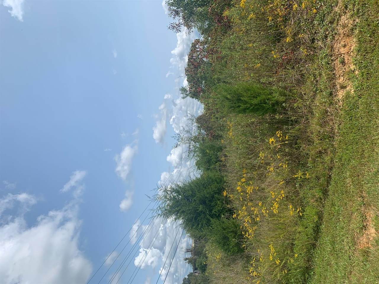 185 Racetrack Road - Photo 1
