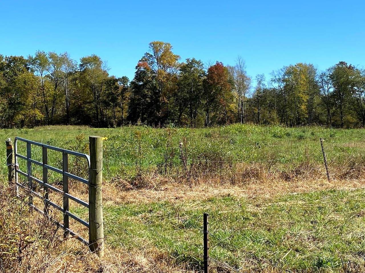 999 Copper Creek Rd - Photo 1
