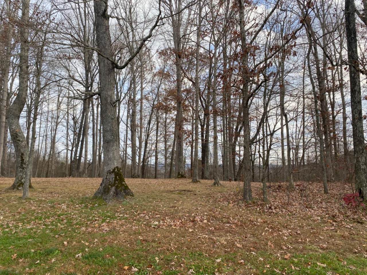 231 Oakwood Dr - Photo 1