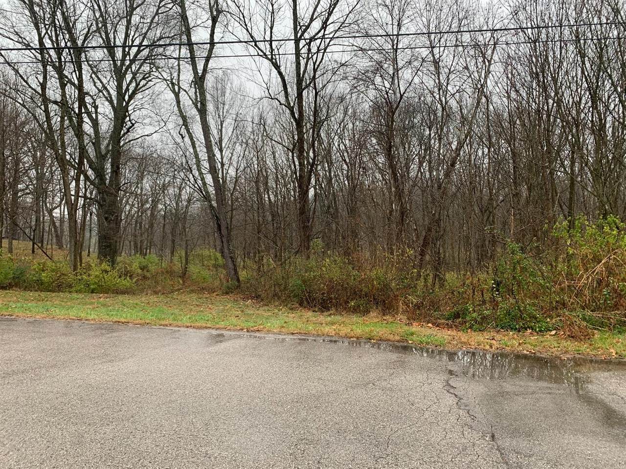 110 Welchwood Drive - Photo 1