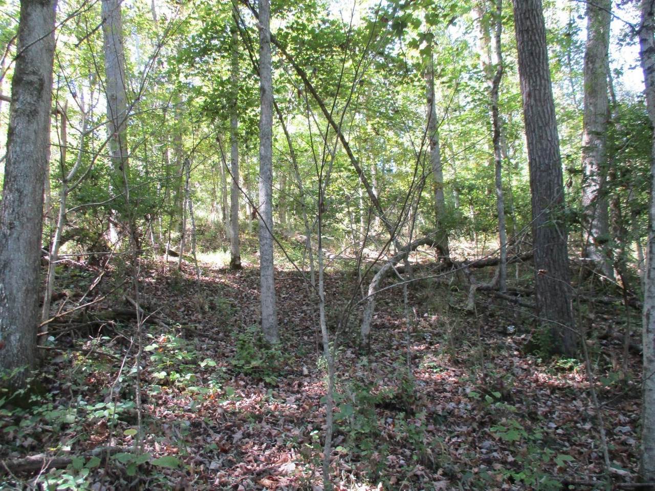 1187 Wildcat Road - Photo 1