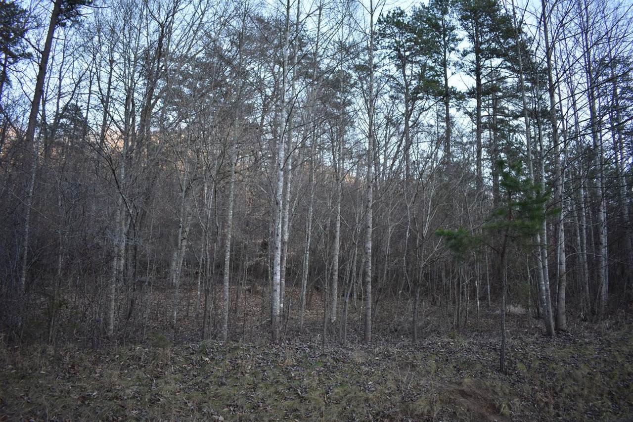 9999 Highway 421 - Photo 1