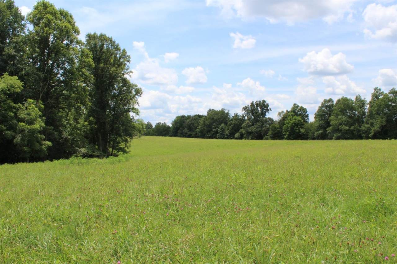 1747 Sugarcamp Road - Photo 1
