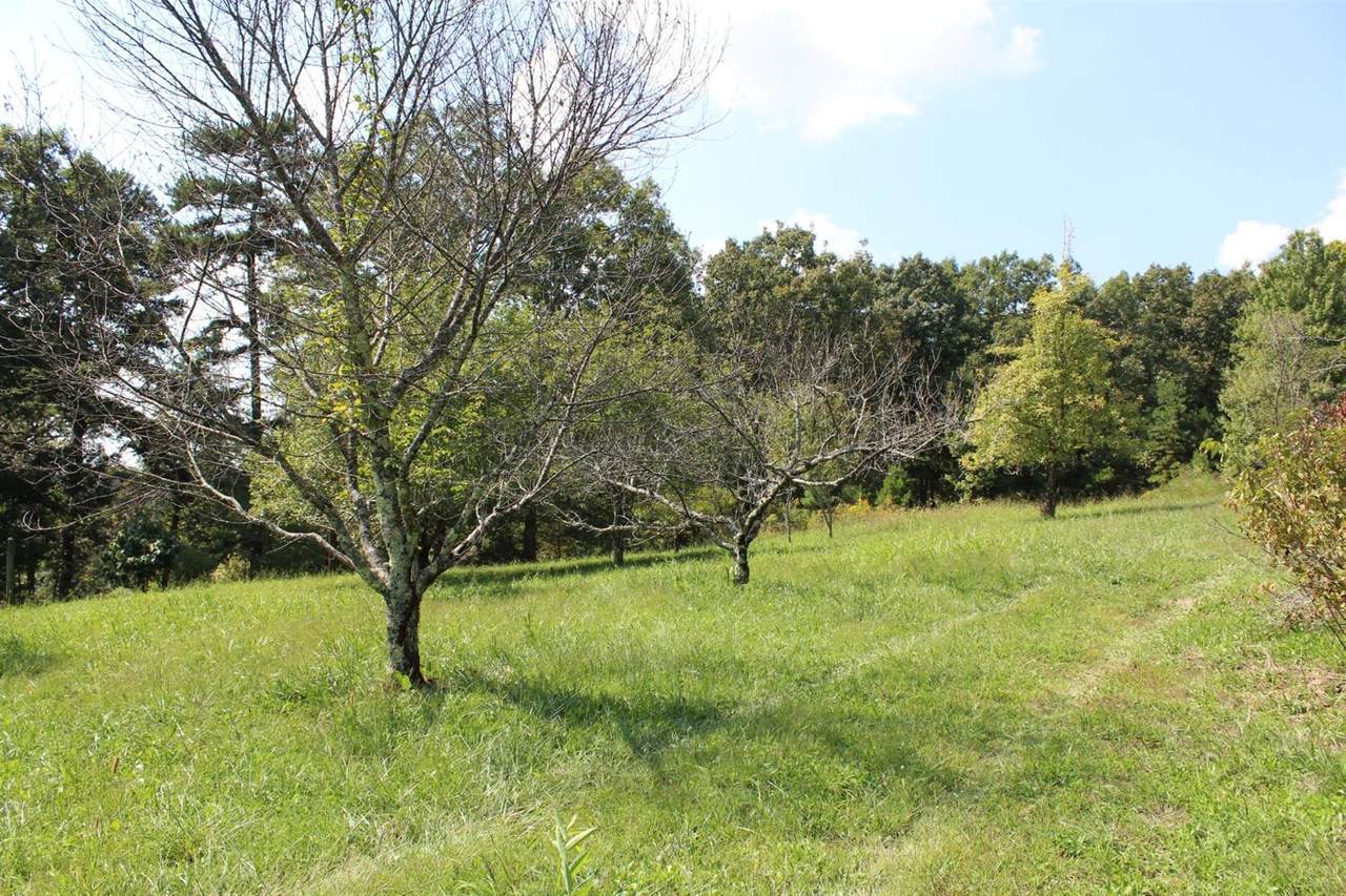 1145 Hollin Rd - Photo 1