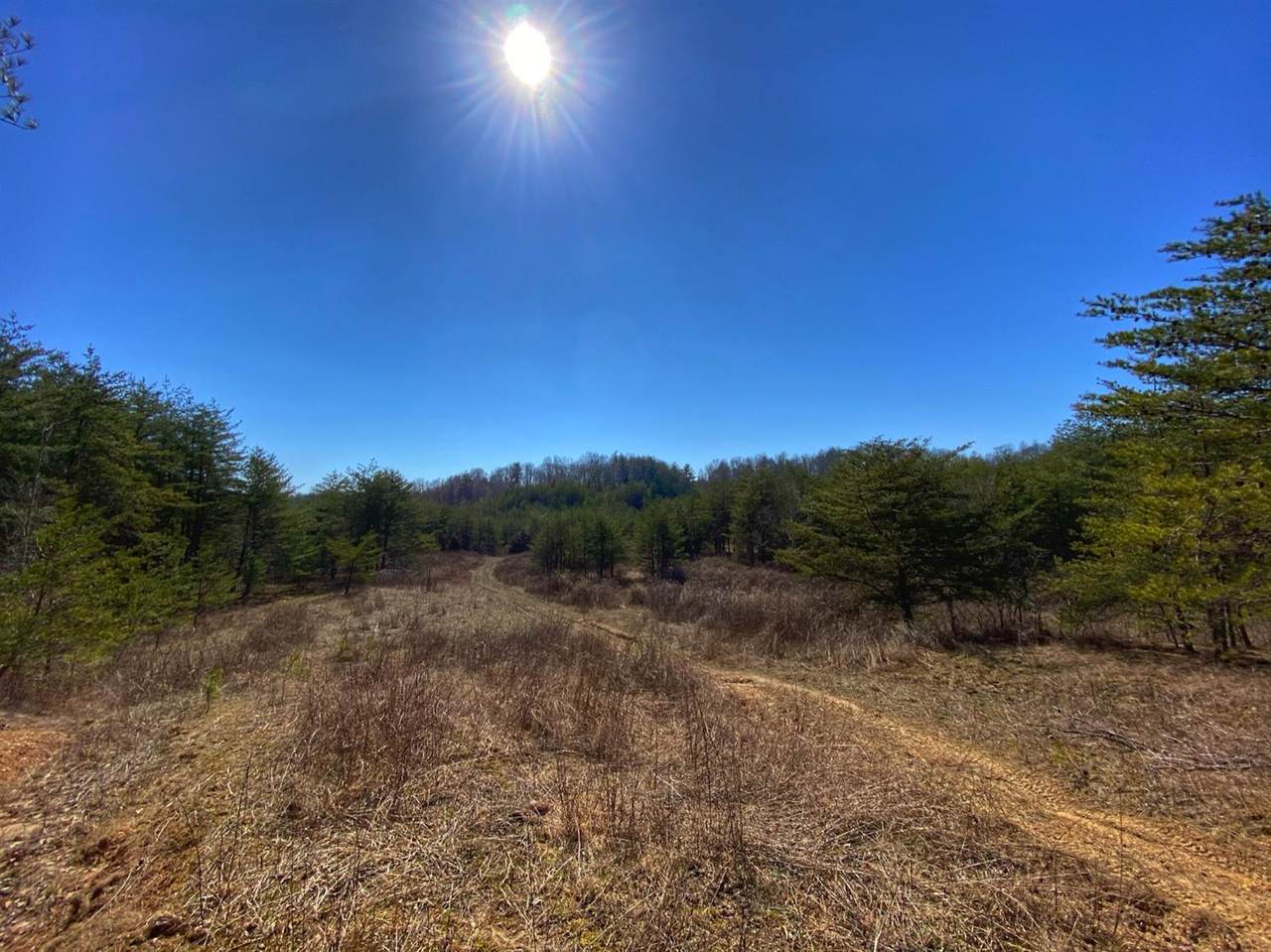 1 Sandy Ridge Road - Photo 1