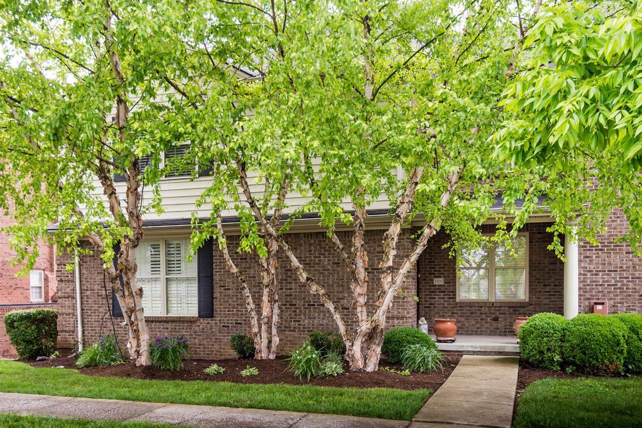 3300 Spangler Drive - Photo 1