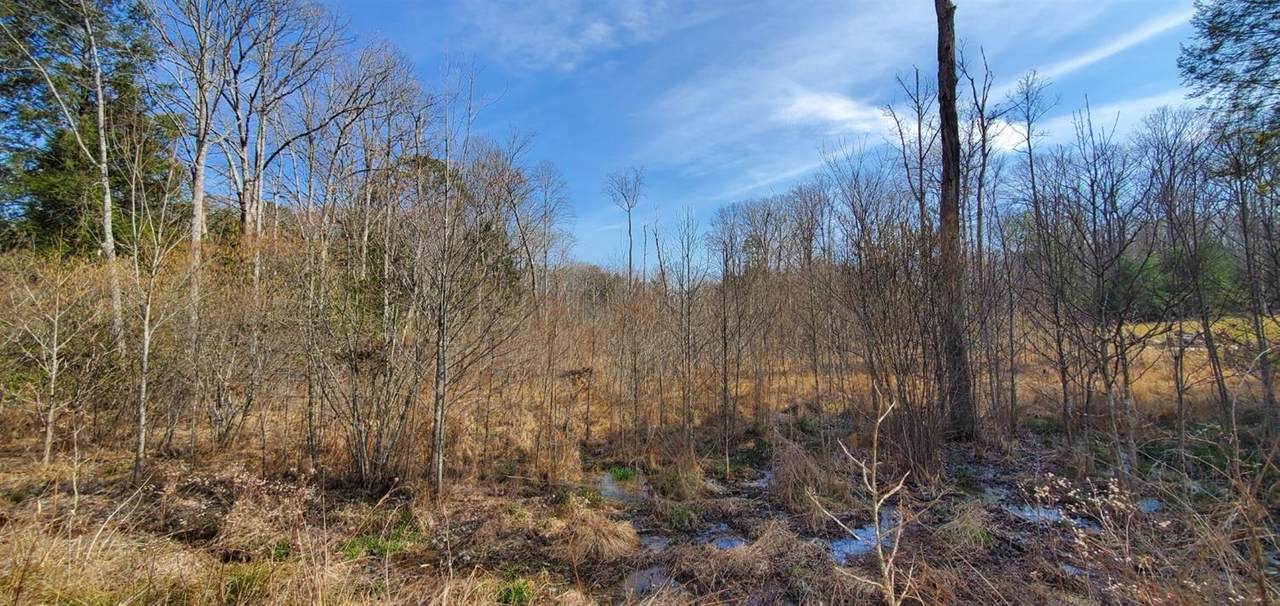 999 Riva Ridge Trail - Photo 1