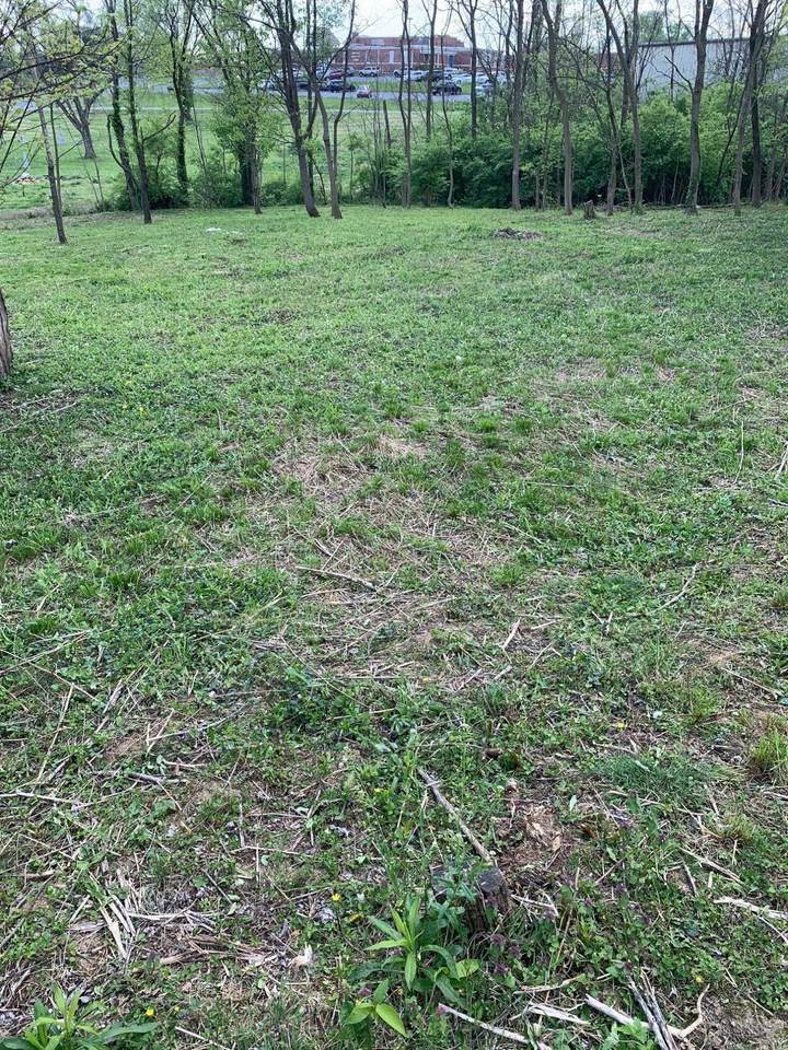 416 2nd Street - Photo 1