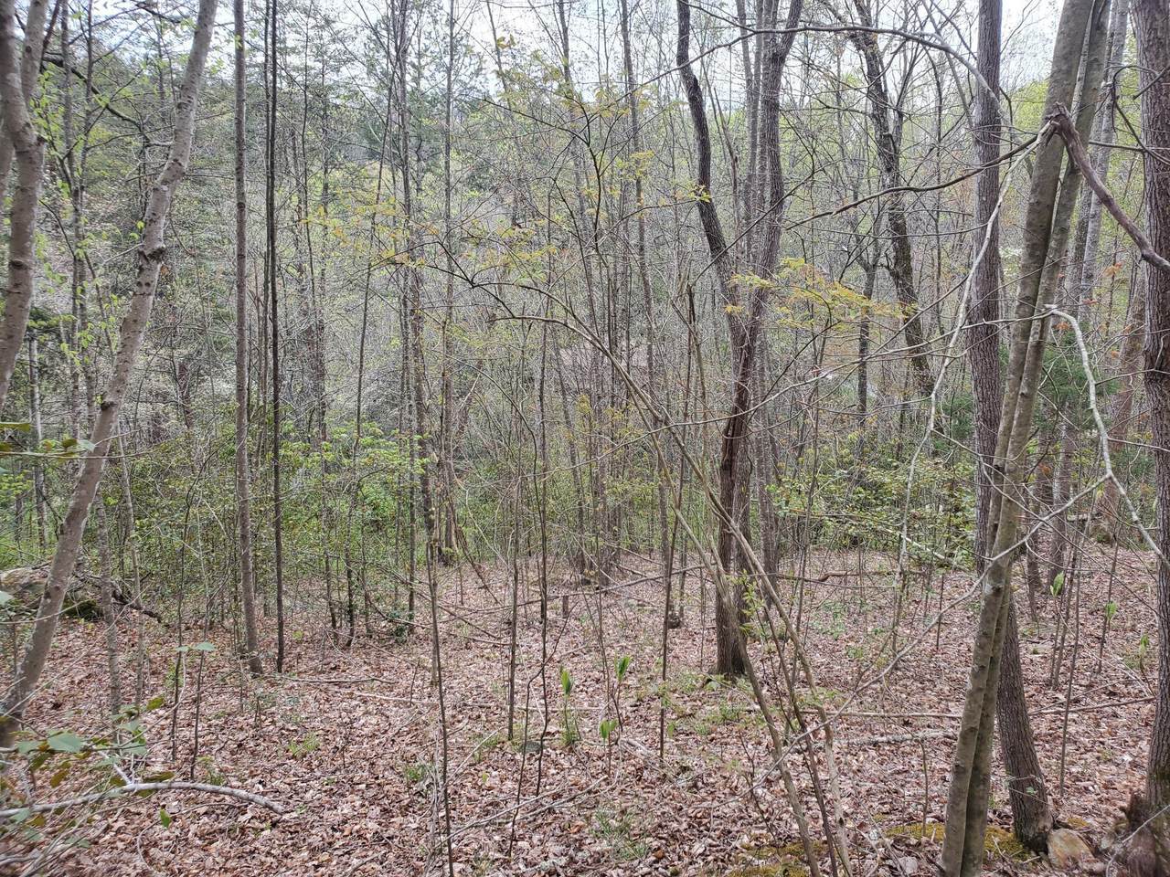 0-Lt35-36 Boulder Drive - Photo 1