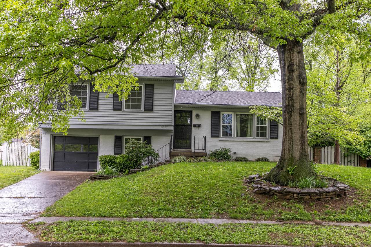 3517 Danada Drive - Photo 1