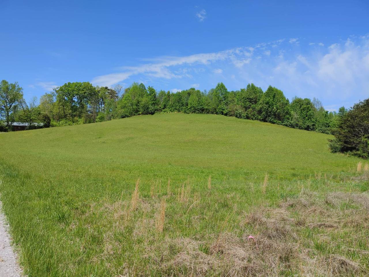 0 Highway 26 & Lloyd Hollow Rd. - Photo 1