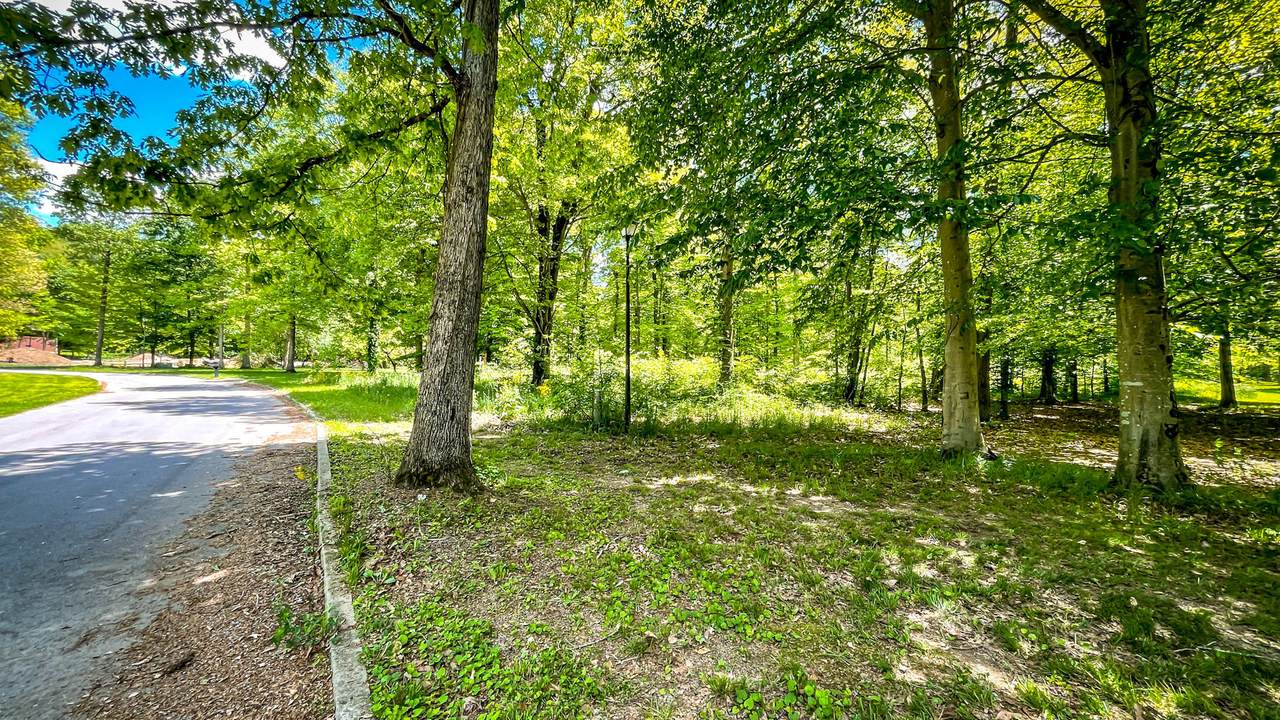 81 Shelby Road - Photo 1