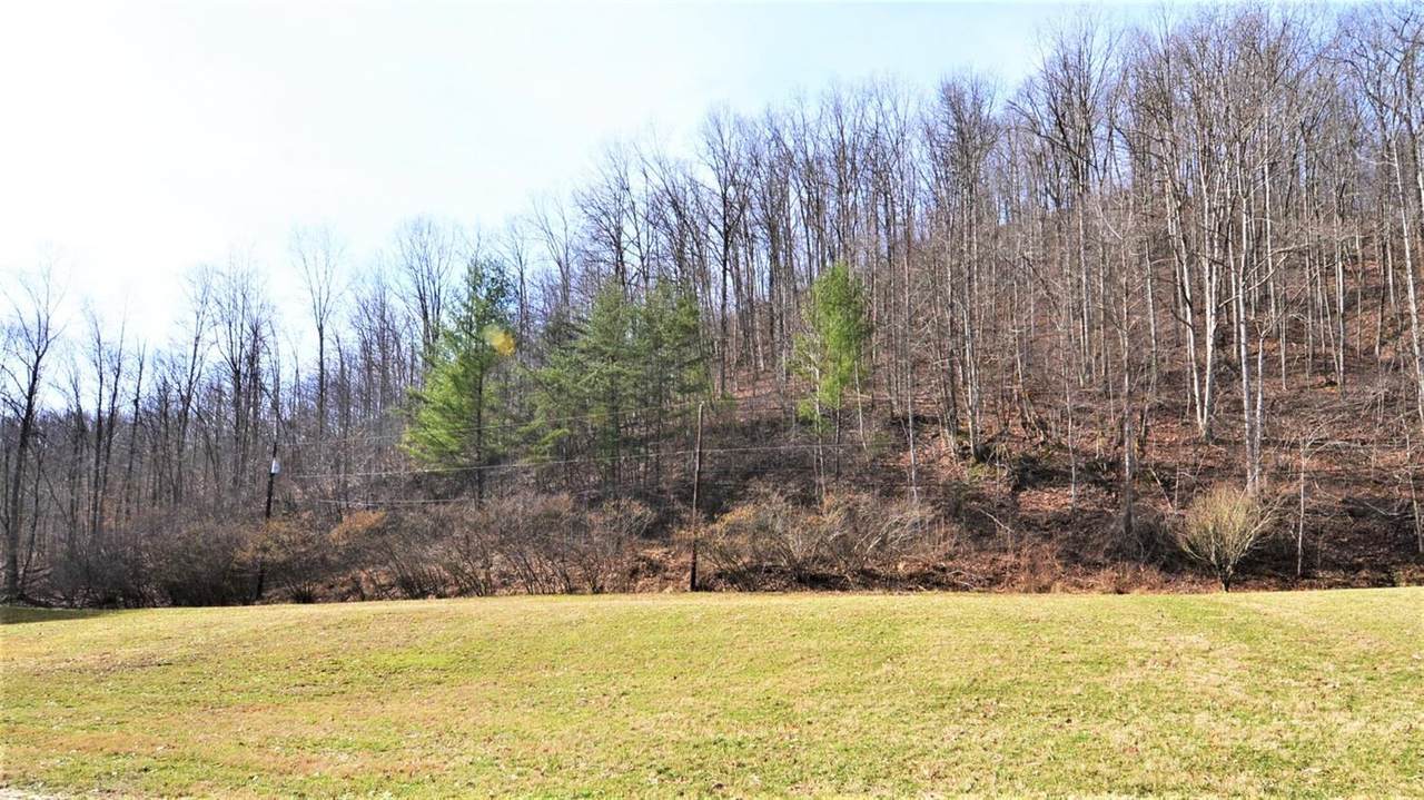 1113 Rodburn Hollow Road - Photo 1
