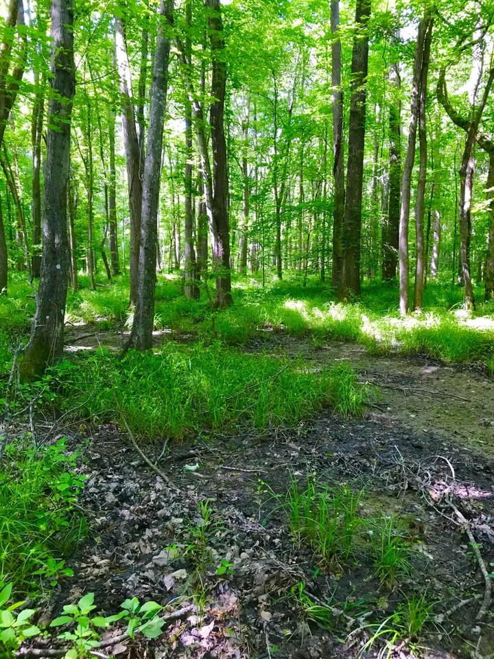 0 South Hwy 211 - Photo 1
