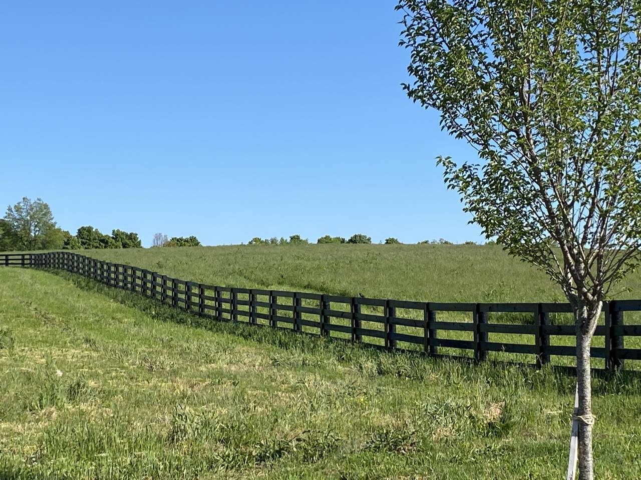 7333-W Tates Creek Road - Photo 1