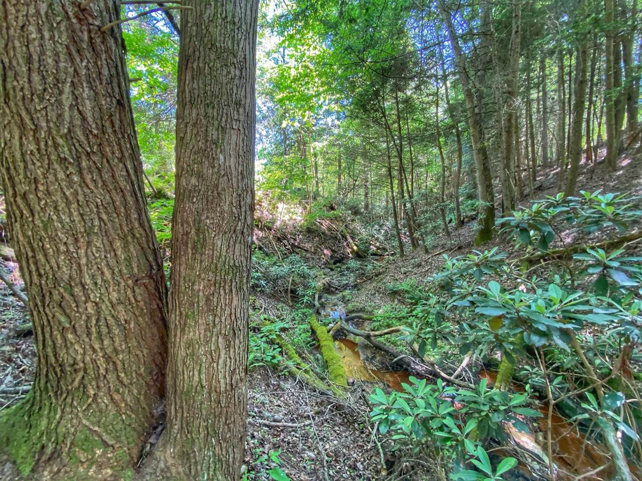 1-Lot Harvest Ridge Road - Photo 1